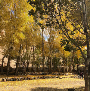 Meet your Posher, Alireza